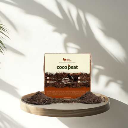PP Coco Peat